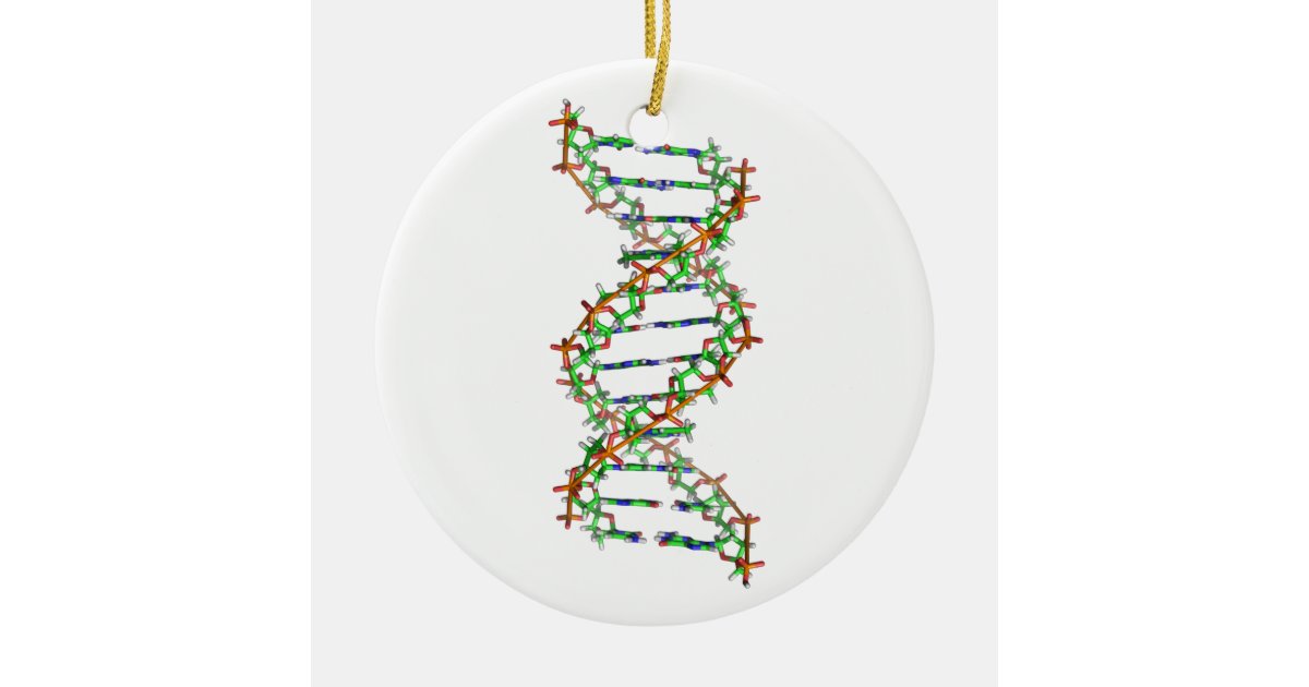 dna science scientist biology ceramic ornament zazzle dna christmas ornaments