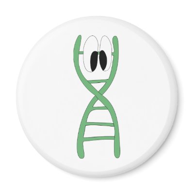 DNA Strand Fridge Magnet by sickfish