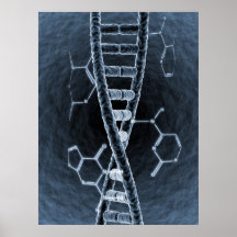 DNA strand Poster