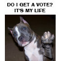 DO I GET A VOTE?IT'S MY LIFE t-shirts