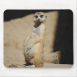 Do I look fat? Mouse Pads