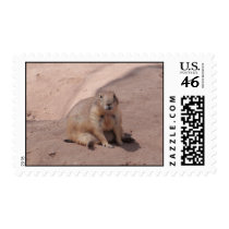Do I Look Fat? Postage Stamp
