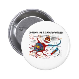 Do I Look Like A Bundle Of Nerves? Neuron Synapse Button