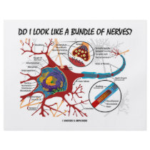 Do I Look Like A Bundle Of Nerves? Neuron Synapse Personalized Flyer