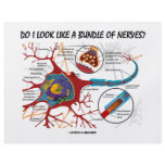Do I Look Like A Bundle Of Nerves? Neuron Synapse flyers
