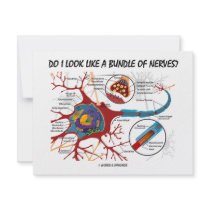 Do I Look Like A Bundle Of Nerves? Neuron Synapse invitations