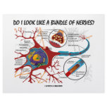 Do I Look Like A Bundle Of Nerves? Neuron Synapse Letterhead Template