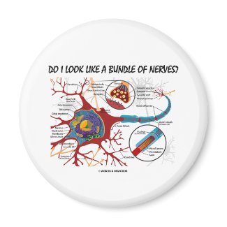Do I Look Like A Bundle Of Nerves? Neuron Synapse magnet