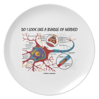 Do I Look Like A Bundle Of Nerves? Neuron Synapse Plates