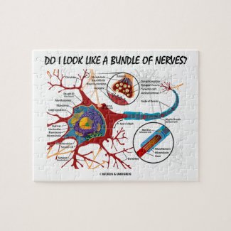 Do I Look Like A Bundle Of Nerves? Neuron Synapse Puzzle