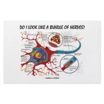Do I Look Like A Bundle Of Nerves? Neuron Synapse stationery
