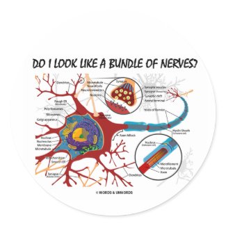 Do I Look Like A Bundle Of Nerves? Neuron Synapse sticker