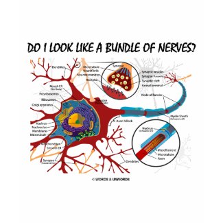 Do I Look Like A Bundle Of Nerves? Neuron Synapse shirt