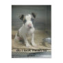 Do I look mean to you? Postcards