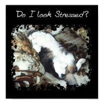 Do I Look Stressed? posters by WildButterflyDesigns Do I Look Stressed? posters
