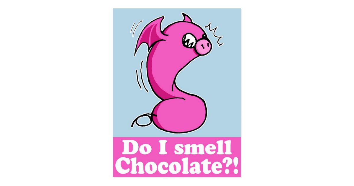 do i smell chocolate?! postcard Zazzle