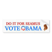Do it for Seamus bumper sticker
