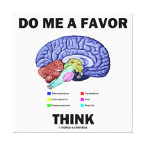 Do Me A Favor Think (Brain Anatomy Humor)