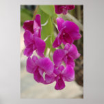 Do Not Alone Print