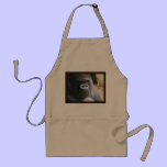Do not ask what is for dinner! aprons
