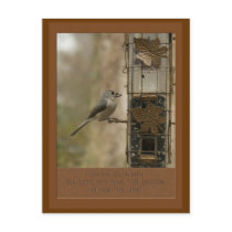 do not be afraid God will provide  bird on feeder Post Card