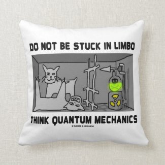 Do Not Be Stuck In Limbo Think Quantum Mechanics Throw Pillow