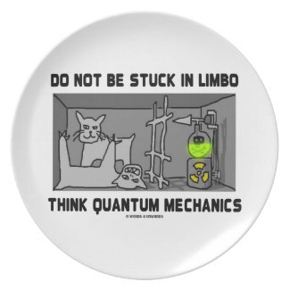 Do Not Be Stuck In Limbo Think Quantum Mechanics Plate