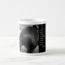 Do not blame mugs