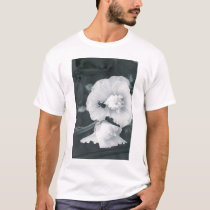 do not buy t-shirts