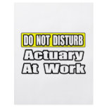Do Not Disturb...Actuary at Work Personalized Flyer