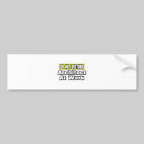 Do Not Disturb...Architect at Work Bumper Stickers