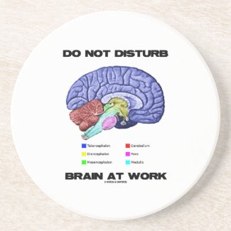 Do Not Disturb Brain At Work (Anatomical Humor) Coasters