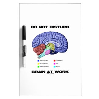 Do Not Disturb Brain At Work (Anatomical Humor) Dry Erase White Board