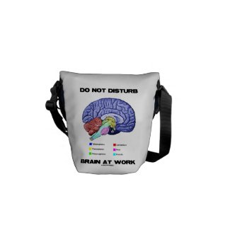 Do Not Disturb Brain At Work (Anatomical Humor) Messenger Bag