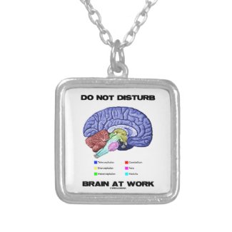 Do Not Disturb Brain At Work (Anatomical Humor) Jewelry