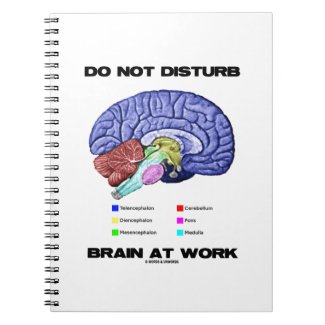 Do Not Disturb Brain At Work (Anatomical Humor) Note Book