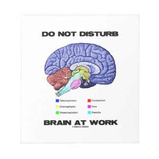 Do Not Disturb Brain At Work (Anatomical Humor) Scratch Pads