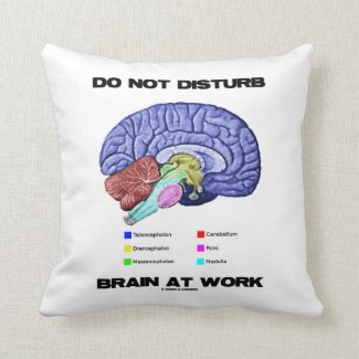 Do Not Disturb Brain At Work (Anatomical Humor) Pillow