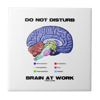 Do Not Disturb Brain At Work (Anatomical Humor) Ceramic Tiles