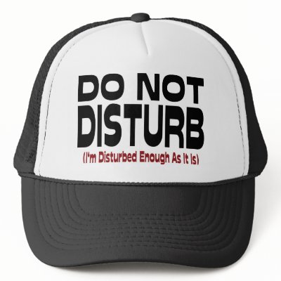 Dont Not Disturb