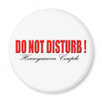 Do Not Disturb Honeymoon Couple Magnet