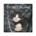 Do NOT Disturb magnets