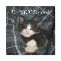 Do NOT Disturb magnets by cam73my Do NOT Disturb magnets