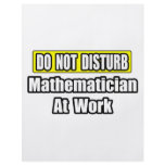 Do Not Disturb...Mathematician At Work flyers