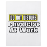 Do Not Disturb...Physicist At Work flyers