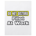 Do Not Disturb...Pilot at Work Full Color Flyer