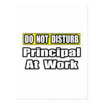 Do Not Disturb...Principal At Work postcards