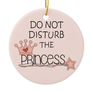 Do Not Disturb the Princess Door Hanger ornament