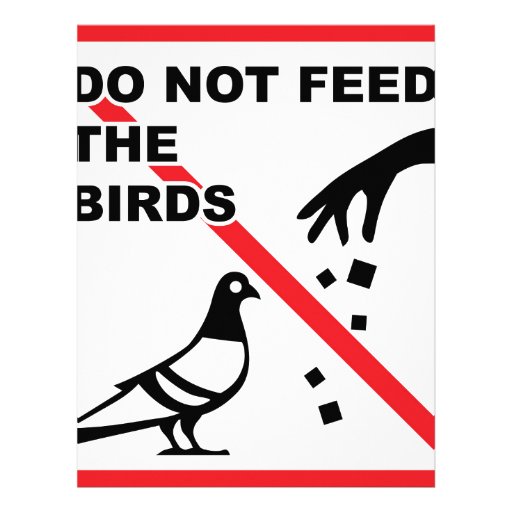 do not feed the birds sign letterhead zazzle do not feed the birds sign letterhead zazzle