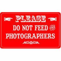 Do Not Feed The Photographers photo sculptures